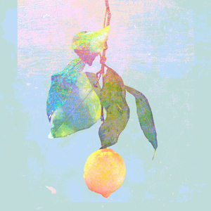 女人下面毛多日起太爽
